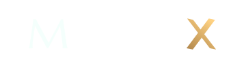 ModelX Theme Logo